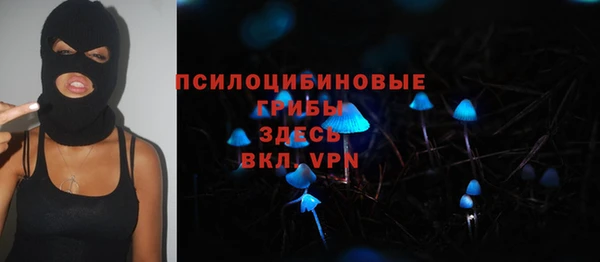 мдпв Нефтегорск