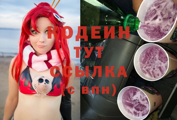 индика Аша