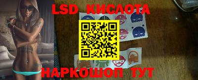 прущие грибы Краснознаменск